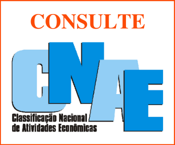 consultar-cnae-igbe-primeconsulting