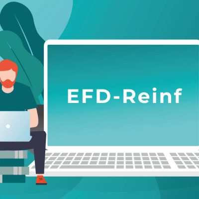 efd_reinf-primeconsulting